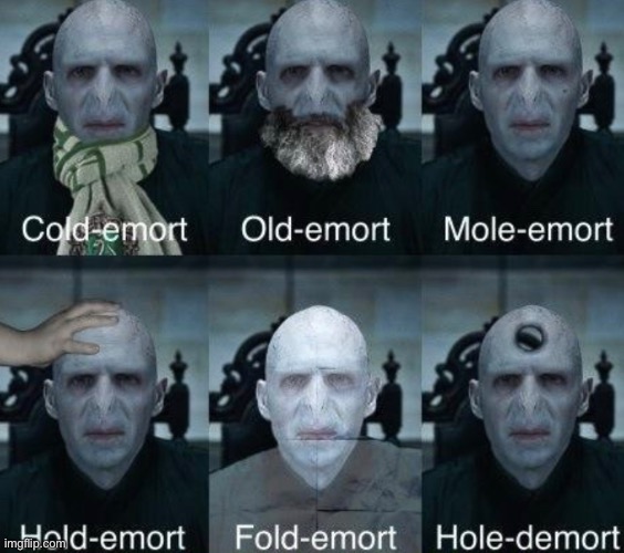 Not my image, link in the comments. | image tagged in voldemort,bad pun | made w/ Imgflip meme maker