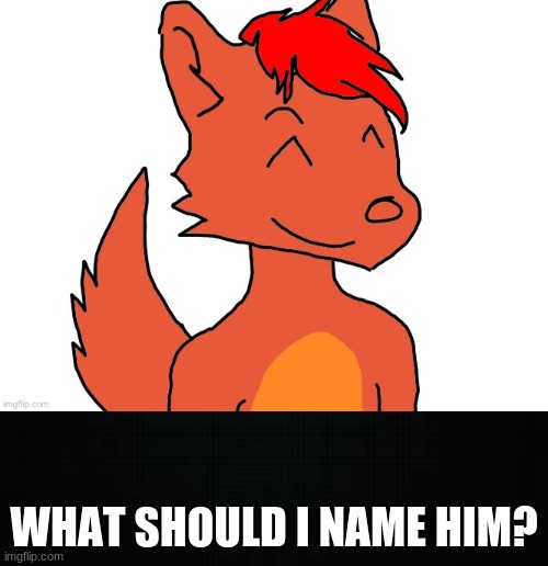 WHAT SHOULD I NAME HIM? | image tagged in black | made w/ Imgflip meme maker