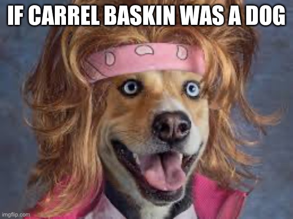 Carrel Baskin? Well I didn’t think so till I saw the headband | IF CARREL BASKIN WAS A DOG | image tagged in carrel baskin,headband,tiger king | made w/ Imgflip meme maker