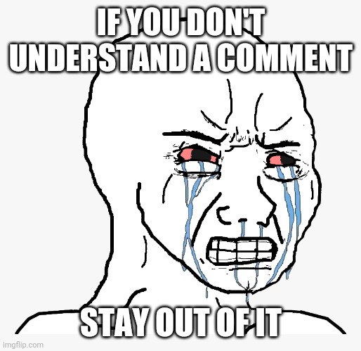 Angry Crying | IF YOU DON'T UNDERSTAND A COMMENT; STAY OUT OF IT | image tagged in angry crying | made w/ Imgflip meme maker