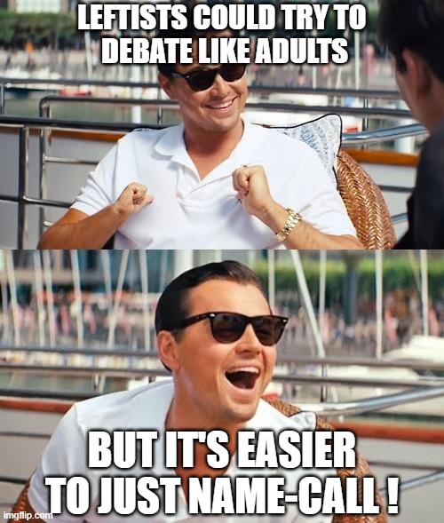 Leonardo Dicaprio Wolf Of Wall Street Meme | LEFTISTS COULD TRY TO 
DEBATE LIKE ADULTS BUT IT'S EASIER TO JUST NAME-CALL ! | image tagged in memes,leonardo dicaprio wolf of wall street | made w/ Imgflip meme maker