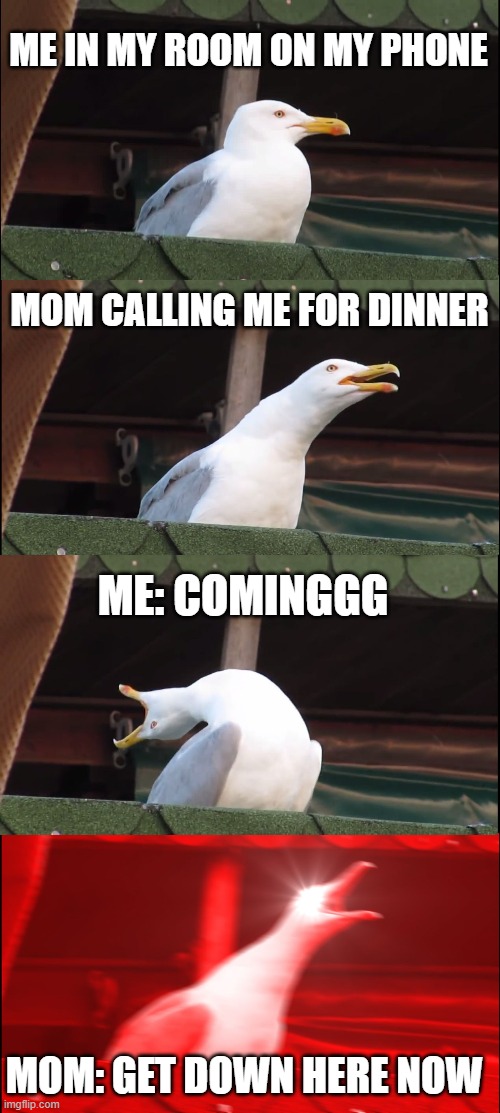My mom calling me | ME IN MY ROOM ON MY PHONE; MOM CALLING ME FOR DINNER; ME: COMINGGG; MOM: GET DOWN HERE NOW | image tagged in memes,inhaling seagull | made w/ Imgflip meme maker