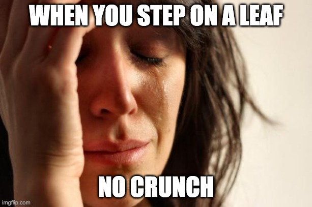 First World Problems | WHEN YOU STEP ON A LEAF; NO CRUNCH | image tagged in memes,first world problems | made w/ Imgflip meme maker