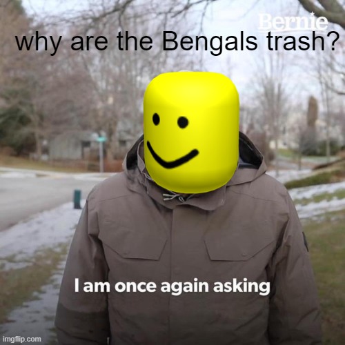 Why are the Bengals so bad? | why are the Bengals trash? | image tagged in memes,bernie i am once again asking for your support,bengals,trash,football | made w/ Imgflip meme maker