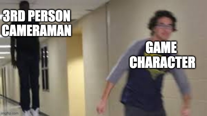 technically the truth | 3RD PERSON CAMERAMAN; GAME
 CHARACTER | image tagged in video games | made w/ Imgflip meme maker