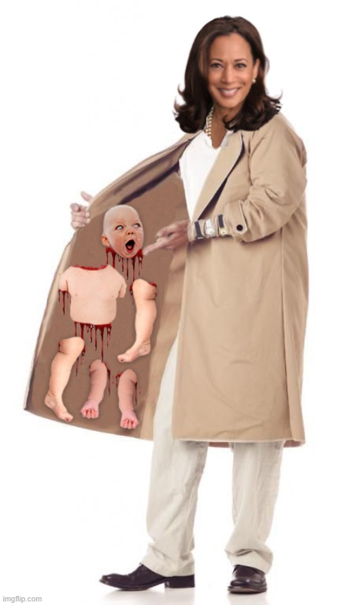 Psst...wanna buy some baby parts? Dirt cheap! | image tagged in kamala harris,abortion,memes | made w/ Imgflip meme maker