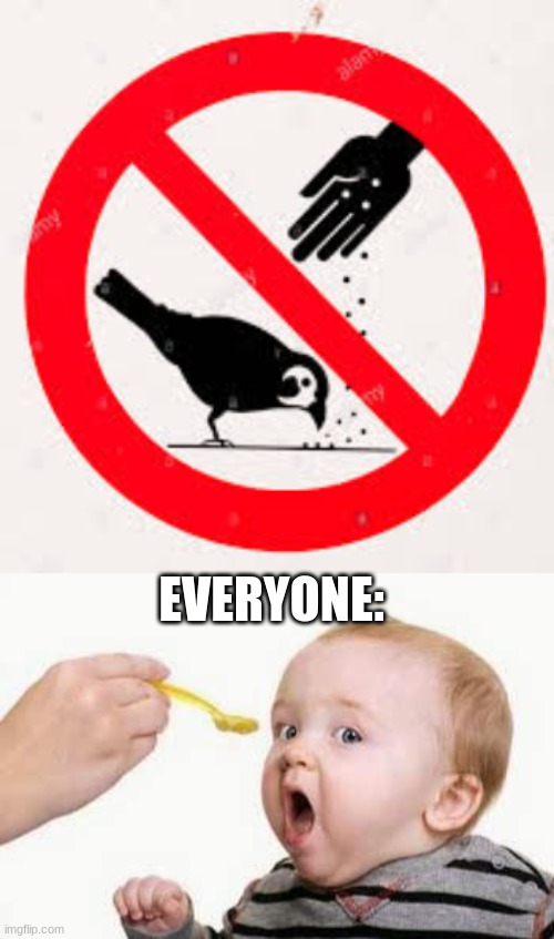 baby bird | EVERYONE: | image tagged in spoon feed | made w/ Imgflip meme maker