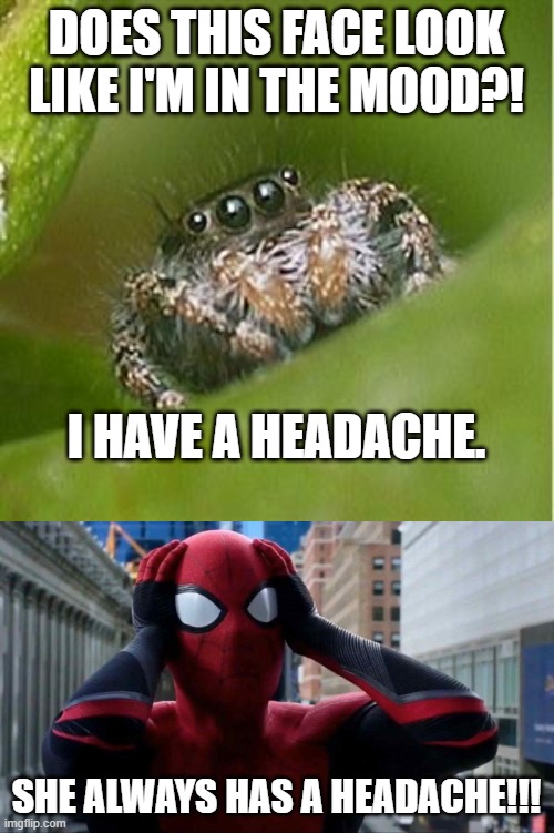 DOES THIS FACE LOOK LIKE I'M IN THE MOOD?! SHE ALWAYS HAS A HEADACHE!!! I HAVE A HEADACHE. | image tagged in misunderstood spider,spidey wtf | made w/ Imgflip meme maker