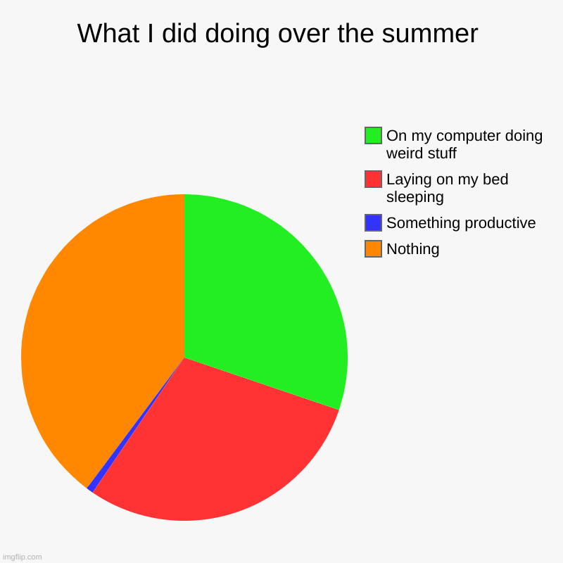 What I did doing over the summer | Nothing, Something productive, Laying on my bed sleeping, On my computer doing weird stuff | image tagged in charts,pie charts | made w/ Imgflip chart maker