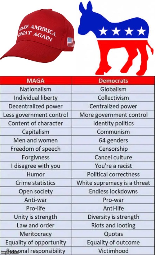 Difference in what they stand for. | image tagged in democrat donkey,maga hat | made w/ Imgflip meme maker