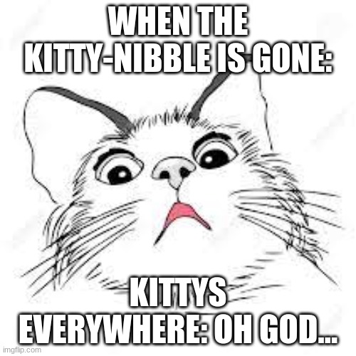 Oh god, not the kibble! | WHEN THE KITTY-NIBBLE IS GONE:; KITTYS EVERYWHERE: OH GOD... | image tagged in kitty | made w/ Imgflip meme maker