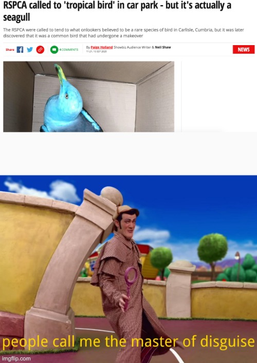 that bird truly deserves a award for being a master of disguise | image tagged in master of disguise lazy town | made w/ Imgflip meme maker