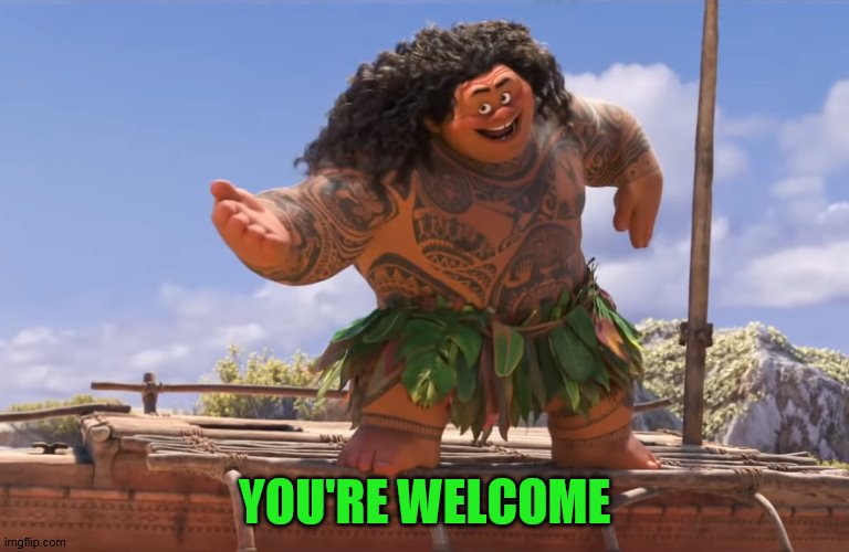 you're welcome without subs | YOU'RE WELCOME | image tagged in you're welcome without subs | made w/ Imgflip meme maker