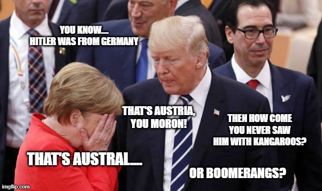 Stop him before he speaks again! | YOU KNOW.... HITLER WAS FROM GERMANY; THAT'S AUSTRIA, YOU MORON! THEN HOW COME YOU NEVER SAW HIM WITH KANGAROOS? THAT'S AUSTRAL.... OR BOOMERANGS? | image tagged in donald trump the clown | made w/ Imgflip meme maker