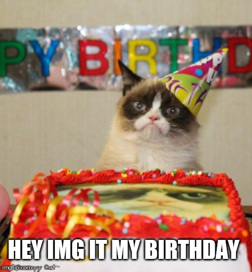 Grumpy Cat Birthday | HEY IMG IT MY BIRTHDAY | image tagged in memes,grumpy cat birthday,grumpy cat | made w/ Imgflip meme maker