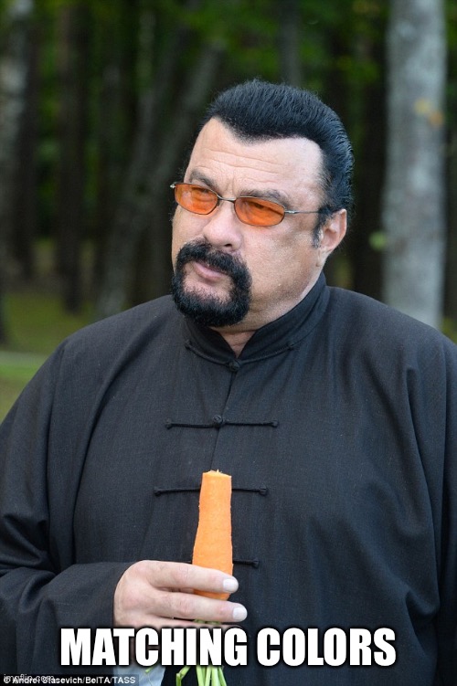 Steven Segal | MATCHING COLORS | image tagged in steven segal,fashion | made w/ Imgflip meme maker