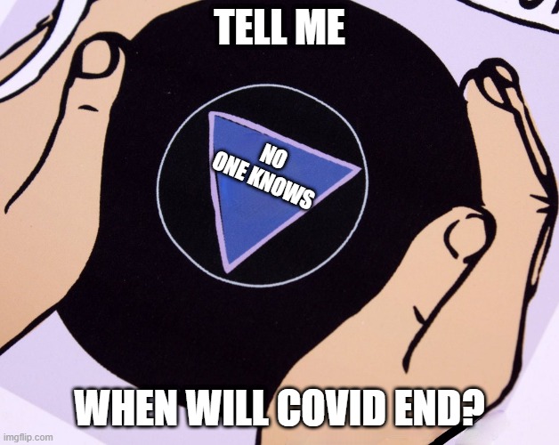 When will covid end? | TELL ME; NO ONE KNOWS; WHEN WILL COVID END? | image tagged in magic eight ball | made w/ Imgflip meme maker