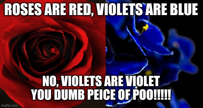 the real color | ROSES ARE RED, VIOLETS ARE BLUE; NO, VIOLETS ARE VIOLET YOU DUMB PEICE OF POO!!!!! | image tagged in roses are red violets are blue | made w/ Imgflip meme maker