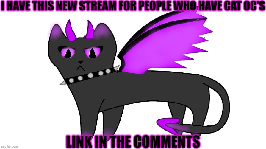 I HAVE THIS NEW STREAM FOR PEOPLE WHO HAVE CAT OC'S; LINK IN THE COMMENTS | made w/ Imgflip meme maker