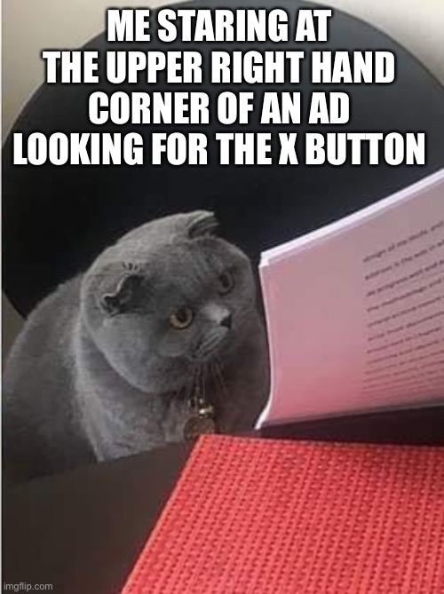 Mobile ads | ME STARING AT THE UPPER RIGHT HAND CORNER OF AN AD LOOKING FOR THE X BUTTON | image tagged in paper | made w/ Imgflip meme maker