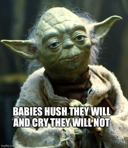 Star Wars Yoda Meme | BABIES HUSH THEY WILL
AND CRY THEY WILL NOT | image tagged in memes,star wars yoda | made w/ Imgflip meme maker