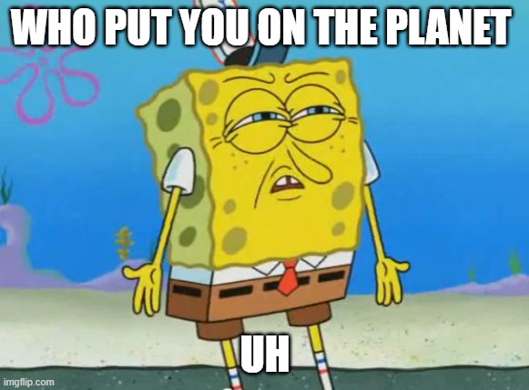Angry Spongebob | WHO PUT YOU ON THE PLANET; UH | image tagged in angry spongebob | made w/ Imgflip meme maker