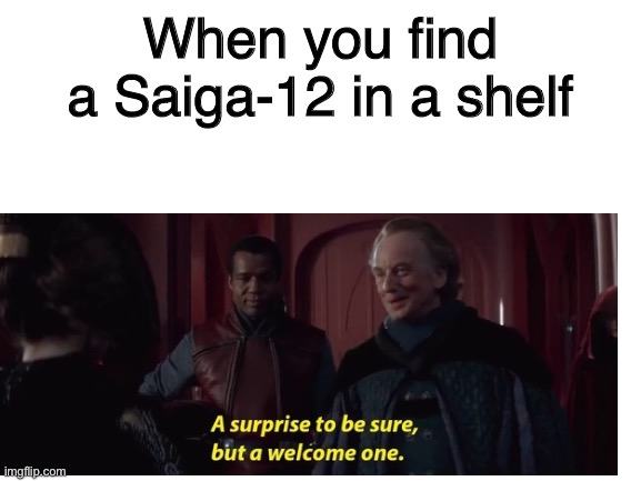 surviv.io meme | When you find a Saiga-12 in a shelf | image tagged in memes,survivio,io games | made w/ Imgflip meme maker