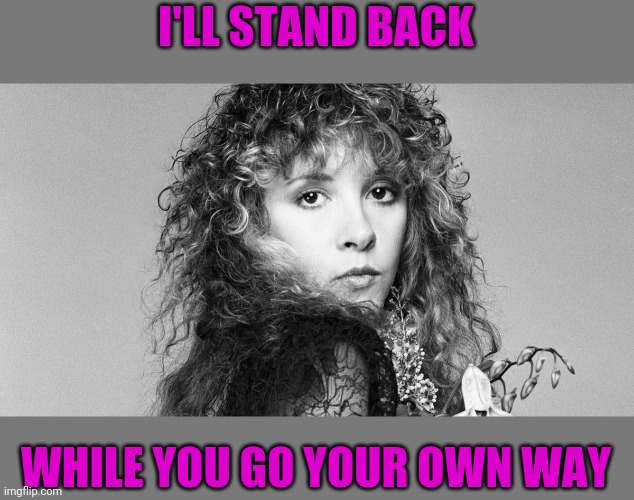 Stevie Nicks | I'LL STAND BACK WHILE YOU GO YOUR OWN WAY | image tagged in stevie nicks | made w/ Imgflip meme maker