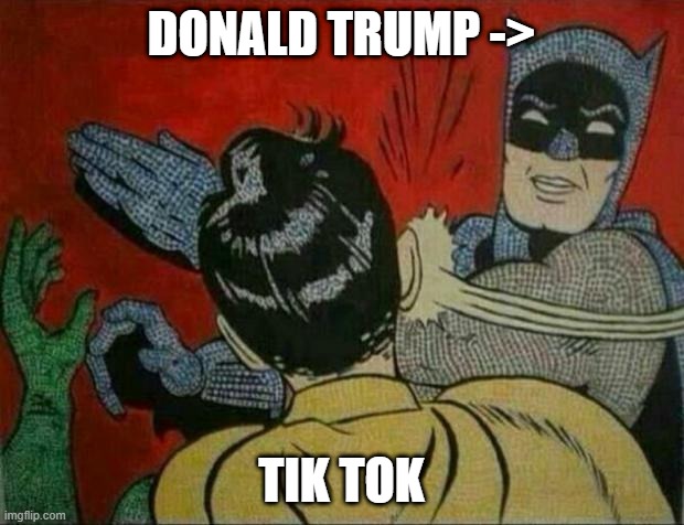 Bat man | DONALD TRUMP ->; TIK TOK | image tagged in bat man | made w/ Imgflip meme maker
