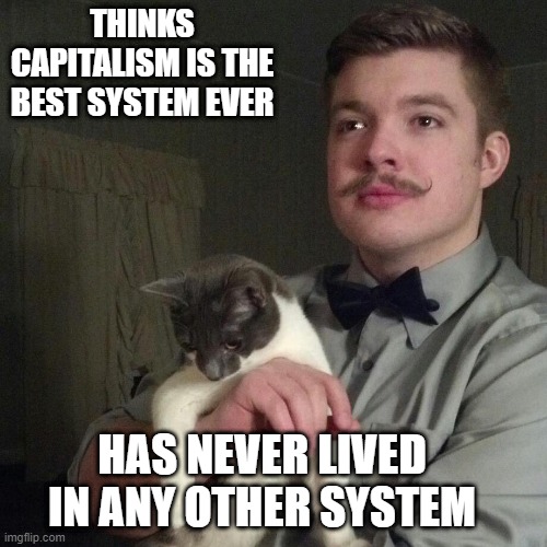 Libertarian | THINKS CAPITALISM IS THE BEST SYSTEM EVER; HAS NEVER LIVED IN ANY OTHER SYSTEM | image tagged in libertarian | made w/ Imgflip meme maker