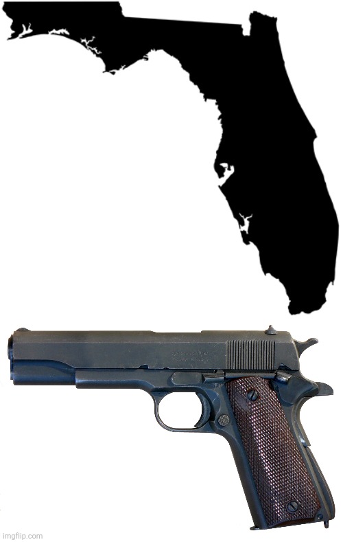 Look Similar? | image tagged in florida,guns | made w/ Imgflip meme maker