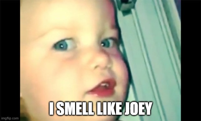 I SMELL LIKE JOEY | image tagged in i smell like beef meme | made w/ Imgflip meme maker