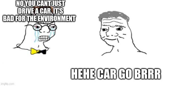 hehe go brr | NO YOU CANT JUST DRIVE A CAR, IT'S BAD FOR THE ENVIRONMENT; HEHE CAR GO BRRR | image tagged in hehe something brrr | made w/ Imgflip meme maker