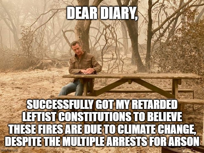 Gavin Newsom’s Diary | DEAR DIARY, SUCCESSFULLY GOT MY RETARDED LEFTIST CONSTITUTIONS TO BELIEVE THESE FIRES ARE DUE TO CLIMATE CHANGE, DESPITE THE MULTIPLE ARRESTS FOR ARSON | image tagged in gavin newsom s diary | made w/ Imgflip meme maker