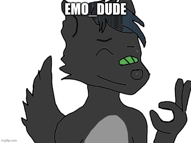 Emo_dude's furry made by him | EMO_DUDE | image tagged in furry | made w/ Imgflip meme maker