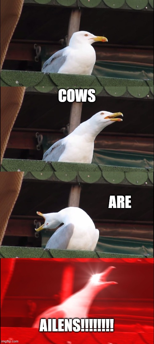 The truth about cows | COWS; ARE; AILENS!!!!!!!! | image tagged in memes,inhaling seagull | made w/ Imgflip meme maker