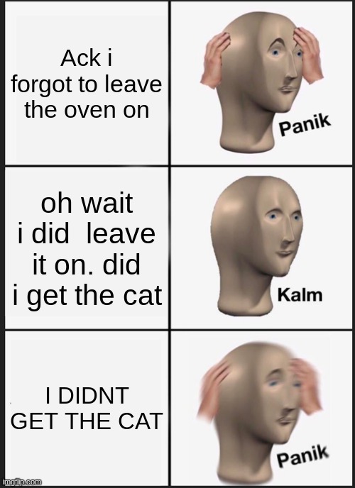 the Oven and the Cat | Ack i forgot to leave the oven on; oh wait i did  leave it on. did i get the cat; I DIDNT GET THE CAT | image tagged in memes,panik kalm panik | made w/ Imgflip meme maker