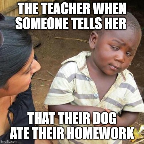 Third World Skeptical Kid Meme | THE TEACHER WHEN SOMEONE TELLS HER; THAT THEIR DOG ATE THEIR HOMEWORK | image tagged in memes,third world skeptical kid | made w/ Imgflip meme maker