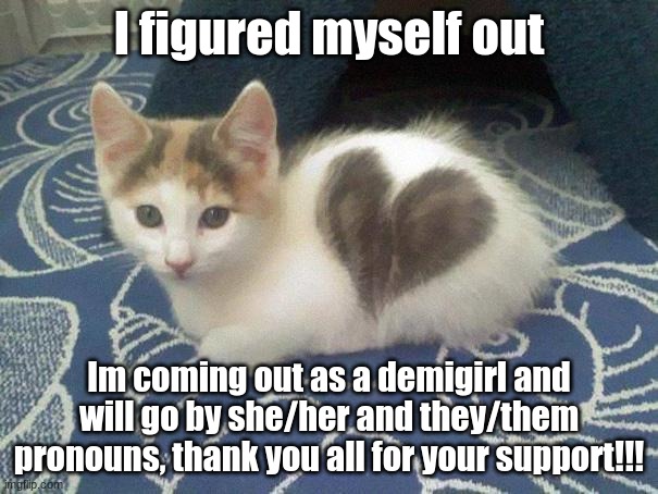 tysm | I figured myself out; Im coming out as a demigirl and will go by she/her and they/them pronouns, thank you all for your support!!! | image tagged in cute cat heart | made w/ Imgflip meme maker