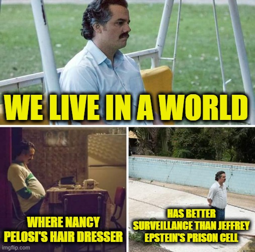 Sad Pablo Escobar | WE LIVE IN A WORLD; WHERE NANCY PELOSI'S HAIR DRESSER; HAS BETTER SURVEILLANCE THAN JEFFREY EPSTEIN'S PRISON CELL | image tagged in memes,sad pablo escobar | made w/ Imgflip meme maker