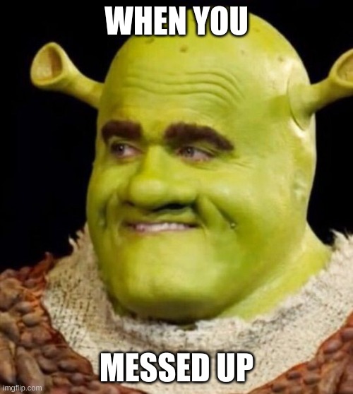 shrek irl | WHEN YOU; MESSED UP | image tagged in shrek irl | made w/ Imgflip meme maker