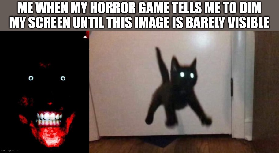 Horror game scare | ME WHEN MY HORROR GAME TELLS ME TO DIM MY SCREEN UNTIL THIS IMAGE IS BARELY VISIBLE | image tagged in cat,horror | made w/ Imgflip meme maker