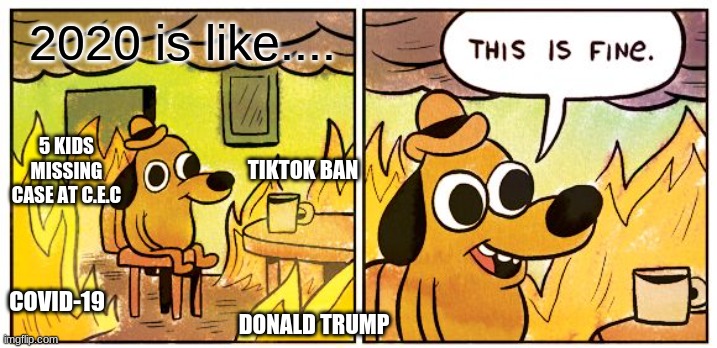 This Is Fine Meme | 2020 is like.... 5 KIDS MISSING CASE AT C.E.C; TIKTOK BAN; COVID-19; DONALD TRUMP | image tagged in memes,this is fine | made w/ Imgflip meme maker