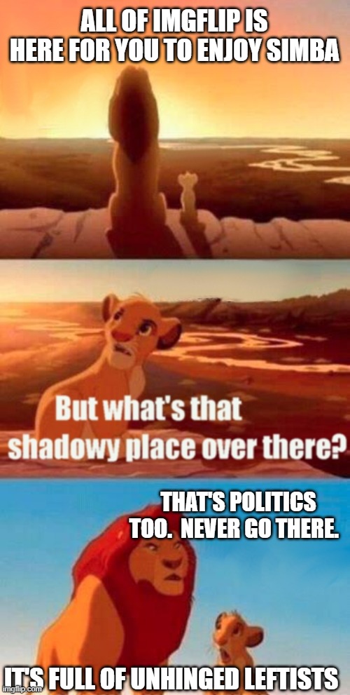 Simba Shadowy Place Meme | ALL OF IMGFLIP IS HERE FOR YOU TO ENJOY SIMBA THAT'S POLITICS TOO.  NEVER GO THERE. IT'S FULL OF UNHINGED LEFTISTS | image tagged in memes,simba shadowy place | made w/ Imgflip meme maker