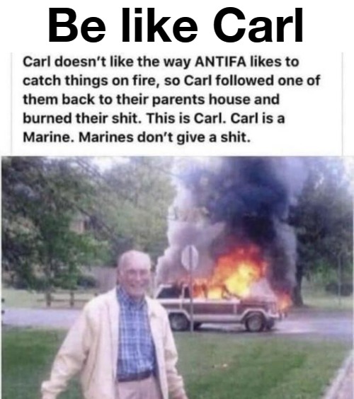 Be like Carl | Be like Carl | image tagged in payback,antifa,blm,paybacks are a bitch,dont get mad get even | made w/ Imgflip meme maker