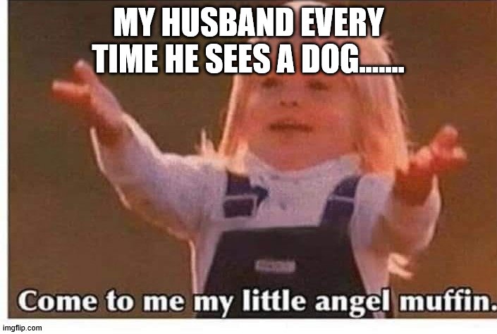 dogs | MY HUSBAND EVERY TIME HE SEES A DOG...…. | image tagged in funny dogs | made w/ Imgflip meme maker