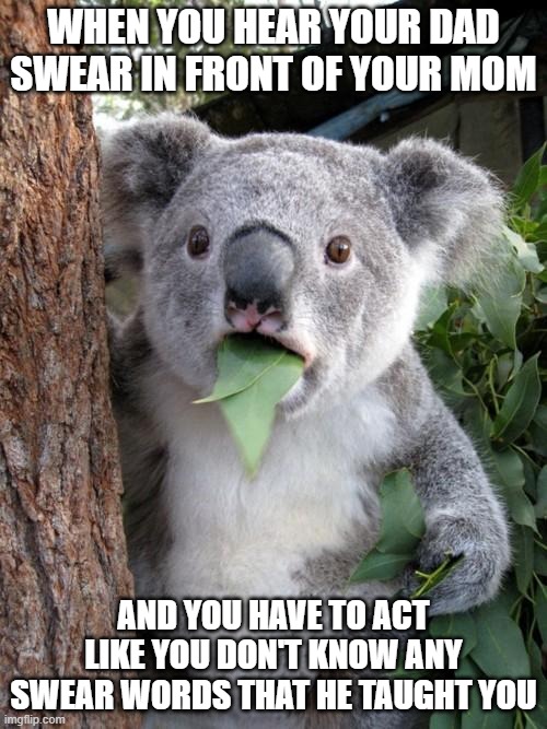 Surprised Koala Meme | WHEN YOU HEAR YOUR DAD SWEAR IN FRONT OF YOUR MOM; AND YOU HAVE TO ACT LIKE YOU DON'T KNOW ANY SWEAR WORDS THAT HE TAUGHT YOU | image tagged in memes,surprised koala | made w/ Imgflip meme maker