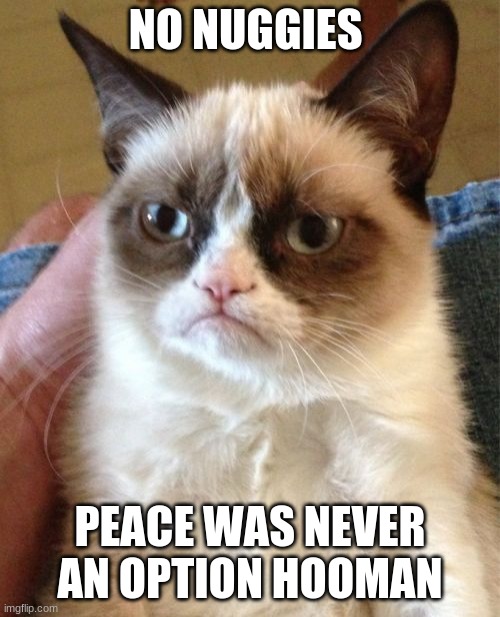 no nuggies = war | NO NUGGIES; PEACE WAS NEVER AN OPTION HOOMAN | image tagged in grumpy cat | made w/ Imgflip meme maker