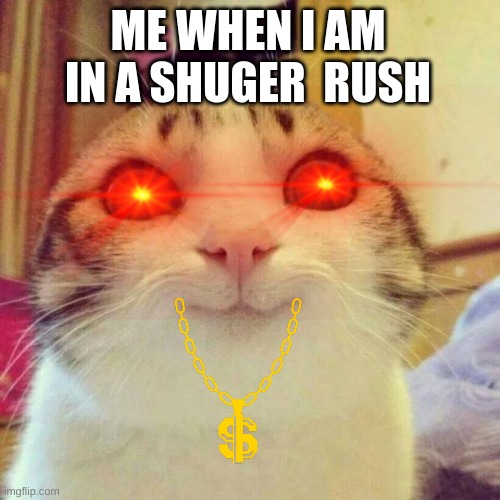 ME WHEN I AM IN A SHUGER  RUSH | made w/ Imgflip meme maker