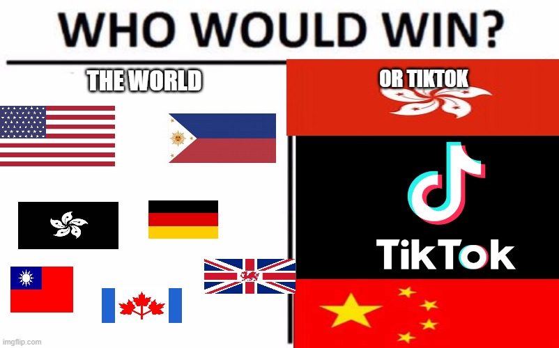 world vs tiktok | THE WORLD; OR TIKTOK | image tagged in tiktok | made w/ Imgflip meme maker
